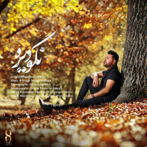 Mehdi Shekari  –  Nagoo Dire